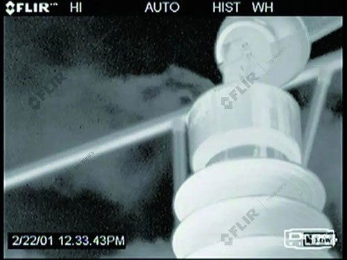 FLIR GF306